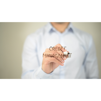 Credit Management for Beginners