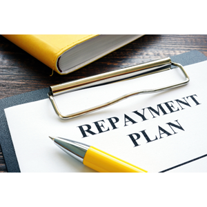 Debt Repayment Plan